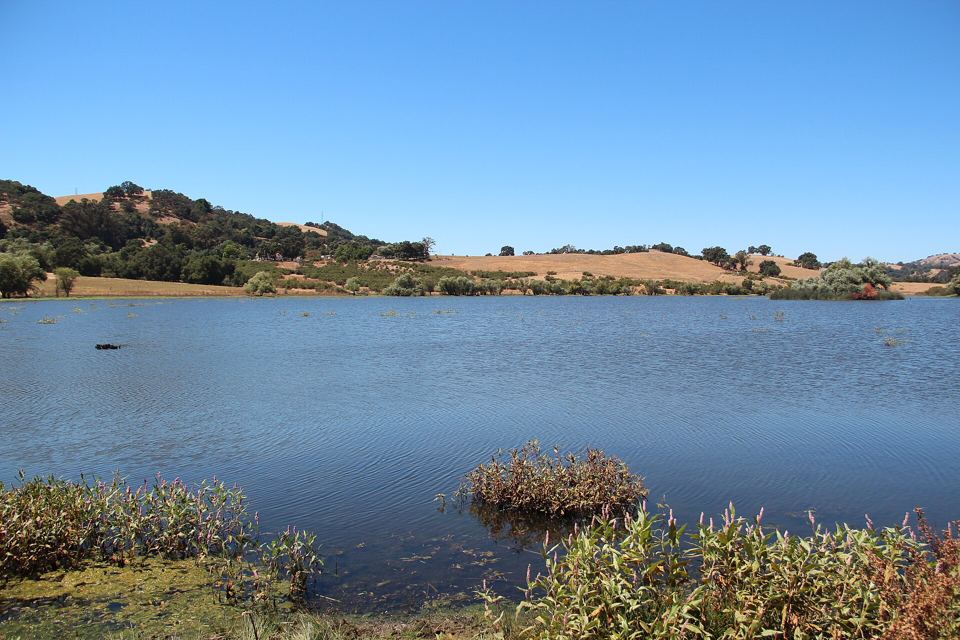Grant Lake in Joseph D. Grant County Park