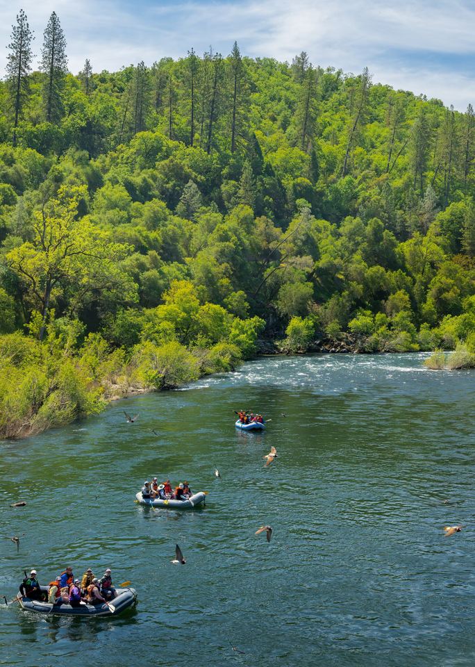 Rafts on the South Fork of the American River