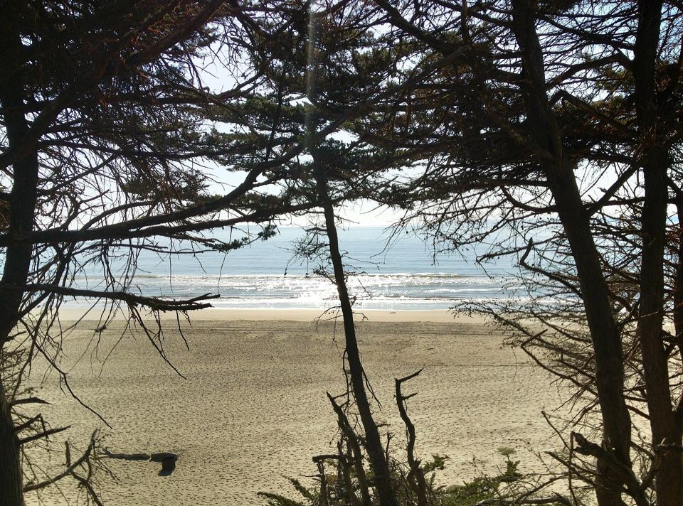 The dunes and surf at Sunset State Beach