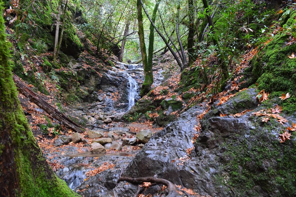 A waterfall in Uvas Canyon County Park